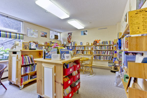 Library with Shelves