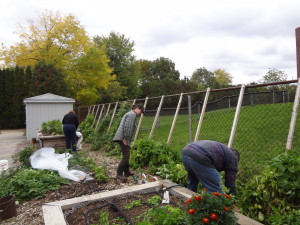 Participants Working in the Garden